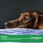 Συμπλήρωμα διατροφής για κατοικίδια EUFORIS 30 ml Υγεία & Ευεξία - Συμπληρώματα Διατροφής Intuizoon