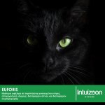 Συμπλήρωμα διατροφής για κατοικίδια EUFORIS 30 ml Υγεία & Ευεξία - Συμπληρώματα Διατροφής Intuizoon