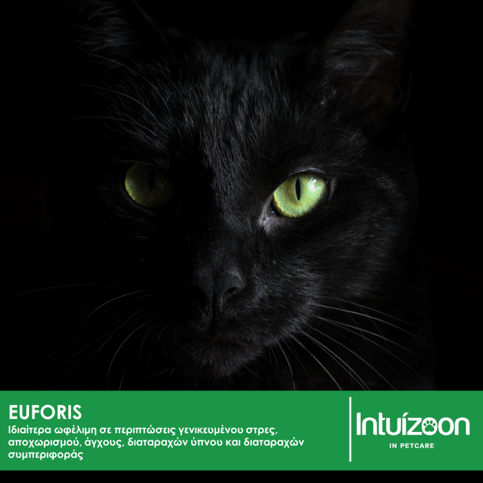 Συμπλήρωμα διατροφής για κατοικίδια EUFORIS 30 ml Υγεία & Ευεξία - Συμπληρώματα Διατροφής Intuizoon
