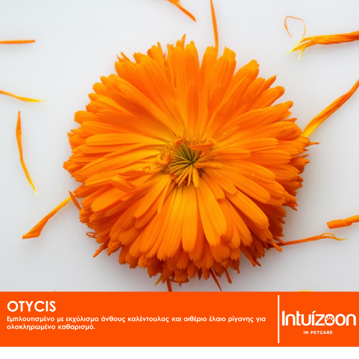 Λοσιόν αυτιών κατοικιδίων OTYCIS 100 ml Καθημερινή Φροντίδα Intuizoon