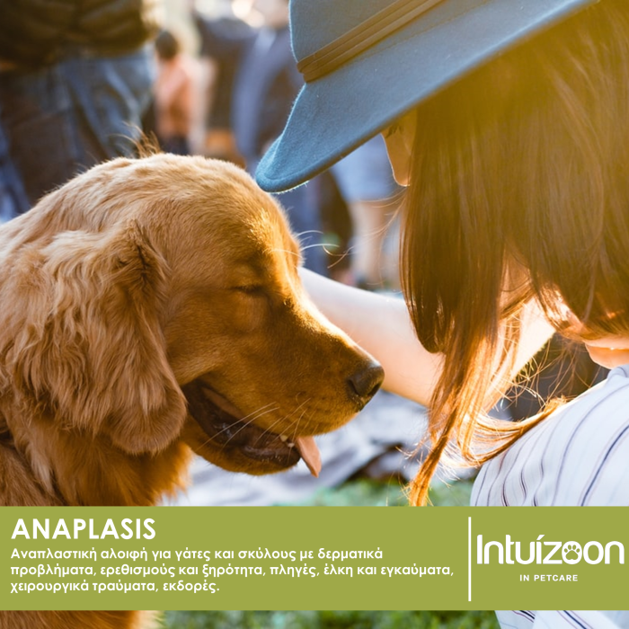 Αναπλαστική αλοιφή για κατοικίδια ANAPLASIS 70g Καθημερινή Φροντίδα Intuizoon