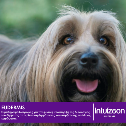Συμπλήρωμα διατροφής για κατοικίδια EUDERMIS 20 φακ. Υγεία & Ευεξία - Συμπληρώματα Διατροφής Intuizoon