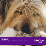 intuizoon.com Συμπλήρωμα διατροφής για κατοικίδια EUDERMIS 20 φακ. Υγεία & Ευεξία - Συμπληρώματα Διατροφής Συμπλήρωμα διατροφής για κατοικίδια EUDERMIS 20 φακ. Υγεία & Ευεξία - Συμπληρώματα Διατροφής Intuizoon