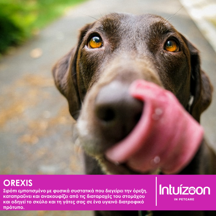 Σιρόπι για κατοικίδια OREXIS 30 ml Υγεία & Ευεξία - Συμπληρώματα Διατροφής Intuizoon