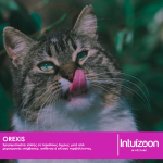 intuizoon.com Σιρόπι για κατοικίδια OREXIS 30 ml Υγεία & Ευεξία - Συμπληρώματα Διατροφής Σιρόπι για κατοικίδια OREXIS 30 ml Υγεία & Ευεξία - Συμπληρώματα Διατροφής Intuizoon