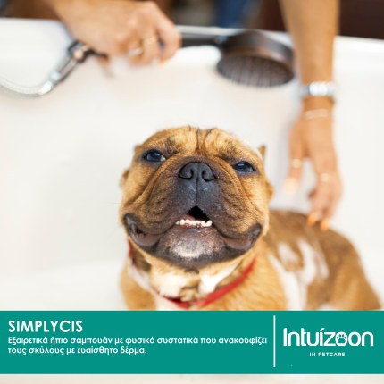 Ήπιο σαμπουάν για σκύλους SIMPLYCIS 250 ml Καθημερινή Φροντίδα Intuizoon