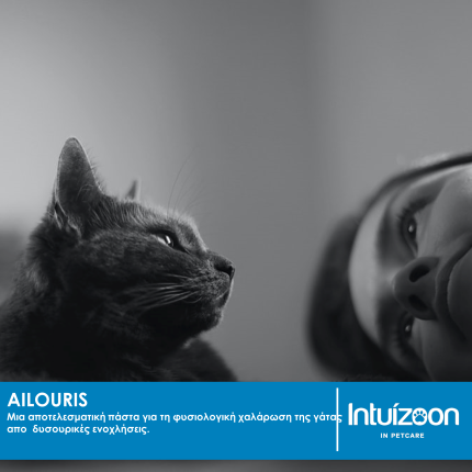 Συμπλήρωμα διατροφής για την φυσιολογική χαλάρωση της γάτας AILOURIS 50 ml Υγεία & Ευεξία - Συμπληρώματα Διατροφής Intuizoon
