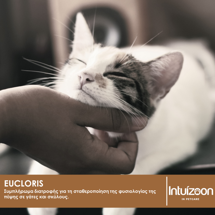 Συμπλήρωμα διατροφής για κατοικίδια EUCLORIS 10 φακ. Συμπληρωματικές Θεραπείες Intuizoon