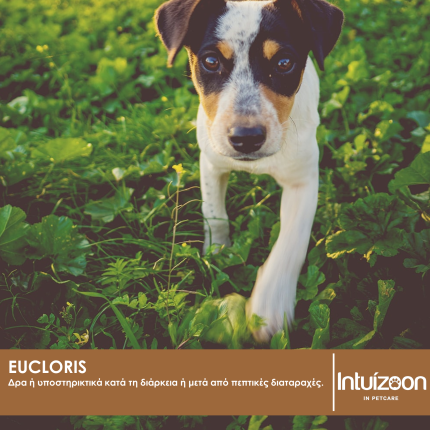 Συμπλήρωμα διατροφής για κατοικίδια EUCLORIS 10 φακ. Συμπληρωματικές Θεραπείες Intuizoon