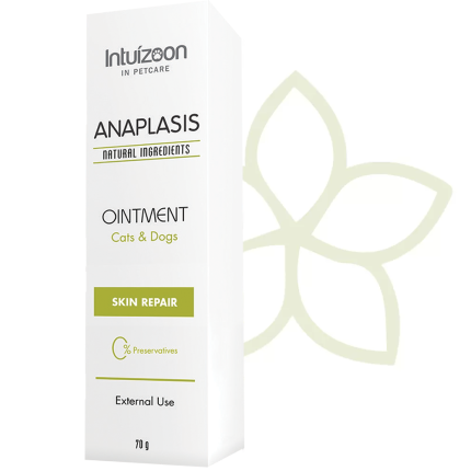 intuizoon.com Αναπλαστική αλοιφή για κατοικίδια ANAPLASIS 70g Καθημερινή Φροντίδα Αναπλαστική αλοιφή για κατοικίδια ANAPLASIS 70g Καθημερινή Φροντίδα Intuizoon