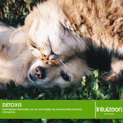 Συμπλήρωμα διατροφής για κατοικίδια DETOXIS 300 Tabs Συμπληρωματικές Θεραπείες Intuizoon