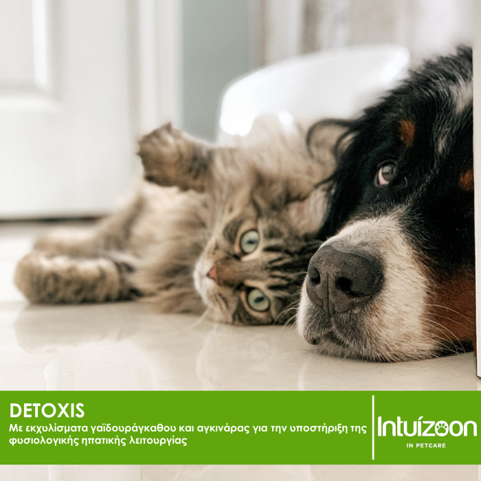 Συμπλήρωμα διατροφής για κατοικίδια DETOXIS 20 tabs Συμπληρωματικές Θεραπείες Intuizoon