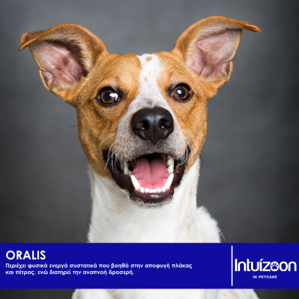 Οδοντικό τζέλ για κατοικίδια ORALIS PLUS 50 ml Καθημερινή Φροντίδα Intuizoon