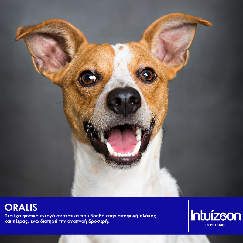 Οδοντικό τζέλ για κατοικίδια ORALIS PLUS 50 ml Καθημερινή Φροντίδα Intuizoon