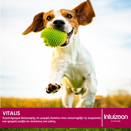 intuizoon.com Συμπλήρωμα διατροφής για κατοικίδια VITALIS 60 tabs Υγεία & Ευεξία - Συμπληρώματα Διατροφής Συμπλήρωμα διατροφής για κατοικίδια VITALIS 60 tabs Υγεία & Ευεξία - Συμπληρώματα Διατροφής Intuizoon
