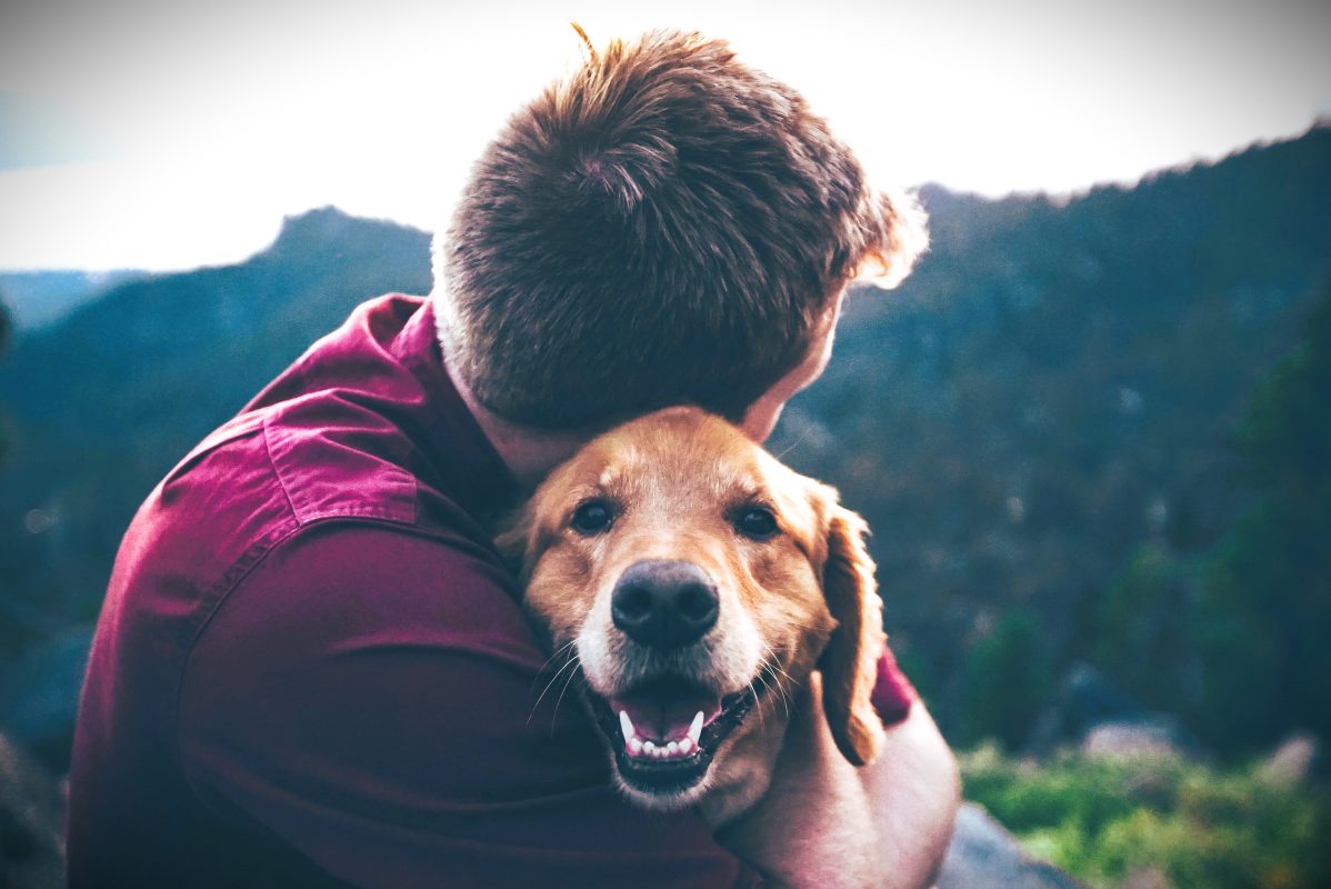 Η σημασία της υγιεινής διατροφής για το σκύλο και τη γάτα μας